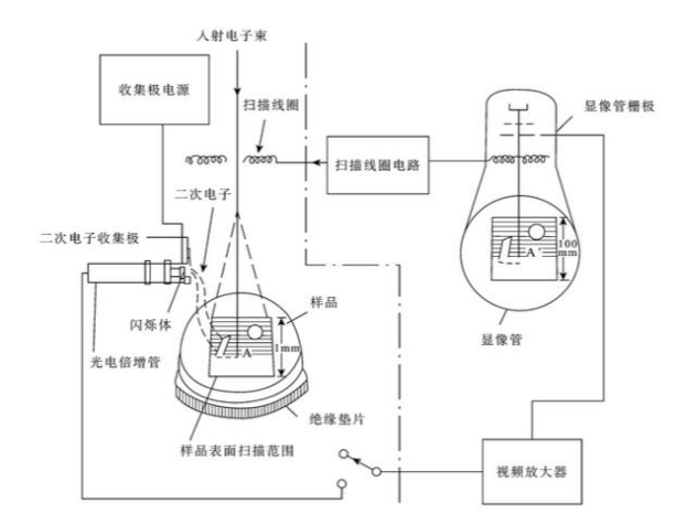 扫描电子显微镜成像原理图