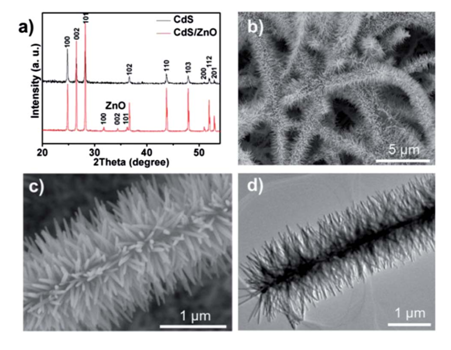 图1：（a）CdS纳米带与CdS/ZnO树枝状异质结的XRD峰对比。（b）低倍数SEM下观测到的CdS/ZnO树枝状异质结。（c）（d）分别对应SEM和TEM下观测到的CdS/ZnO树枝状异质结。