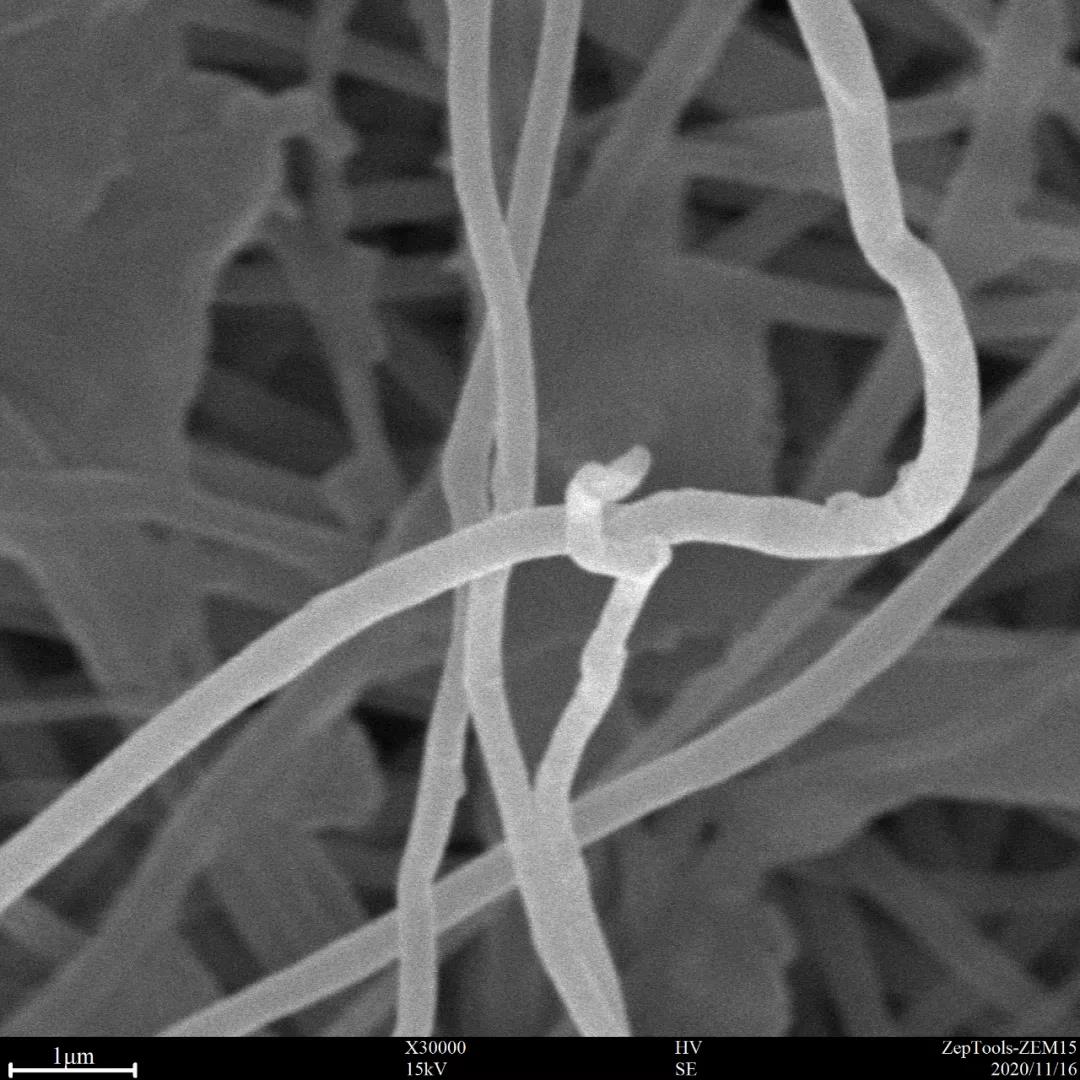 台式扫描电镜3万倍纳米纤维