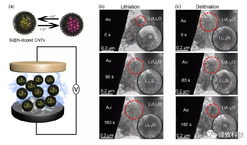 原位观测Si@N-doped CNTs阳极的充放电过程