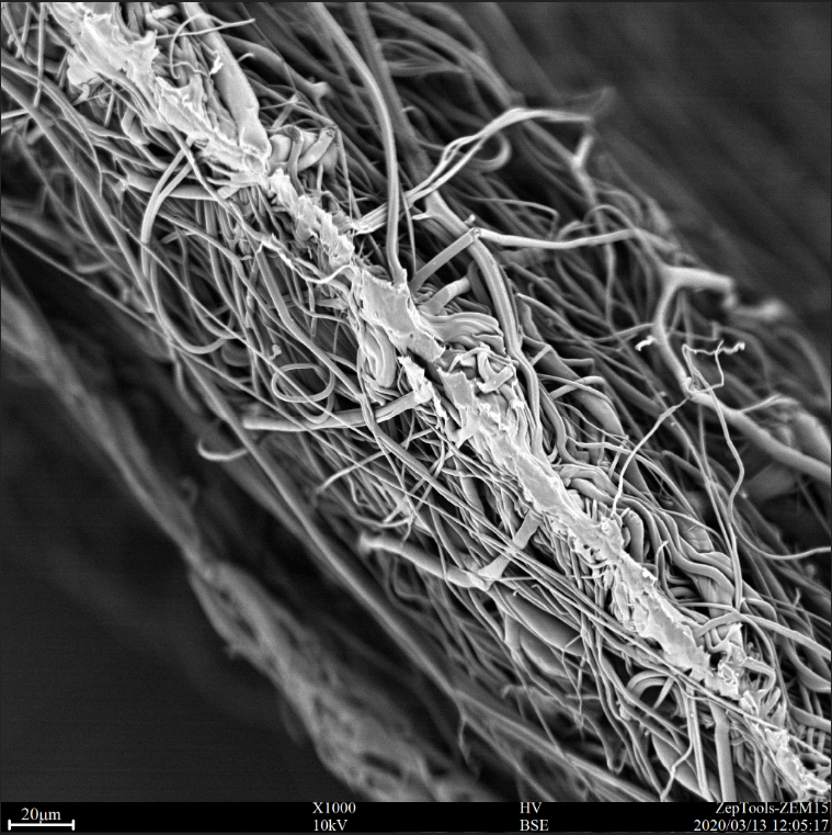 医用口罩中间过滤层（熔喷布）截面的扫描电镜图
