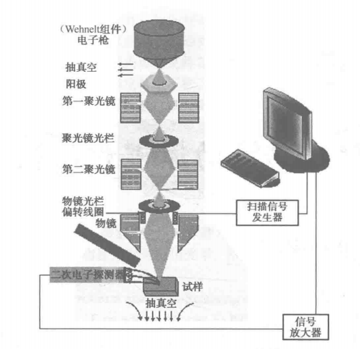 台式扫描电子显微镜结构原理示意图