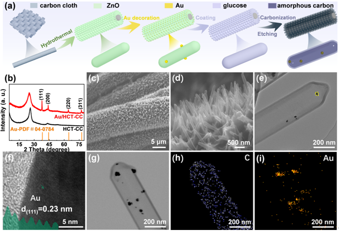 Au/HCT-CC的制备流程图和SEM、TEM形貌表征