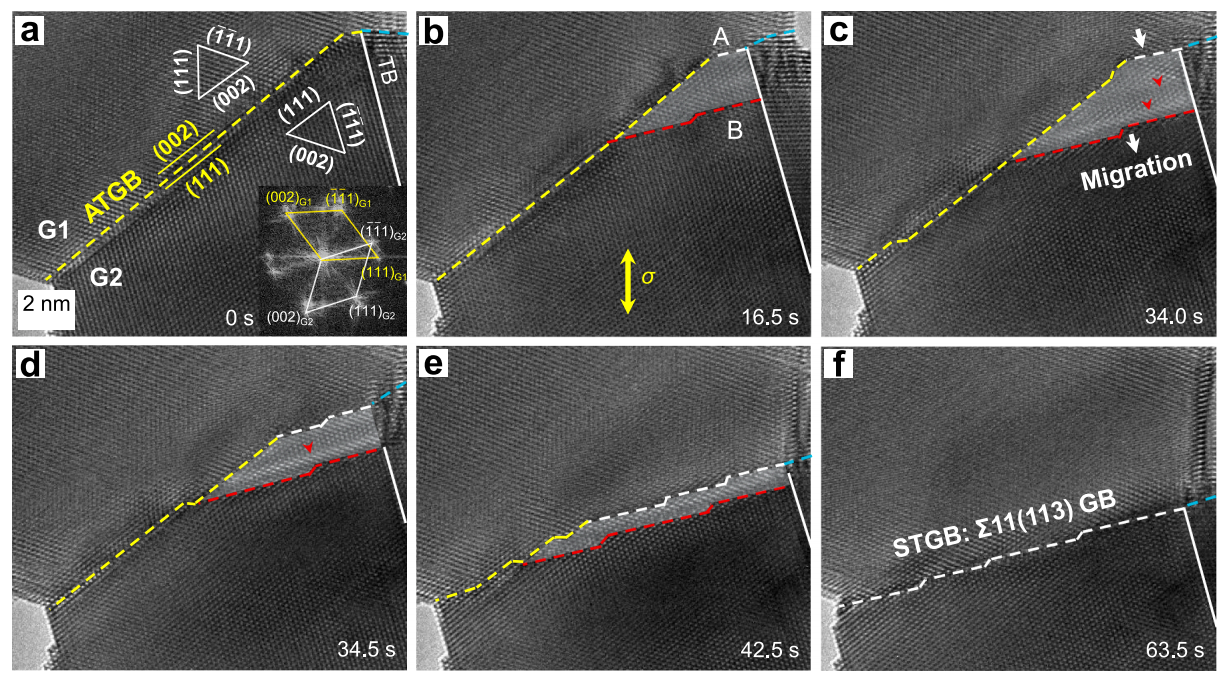 晶界动态调整的原位观测