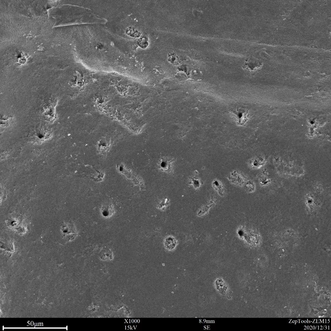 台式扫描电镜1000倍下可以看到一些孔洞结构